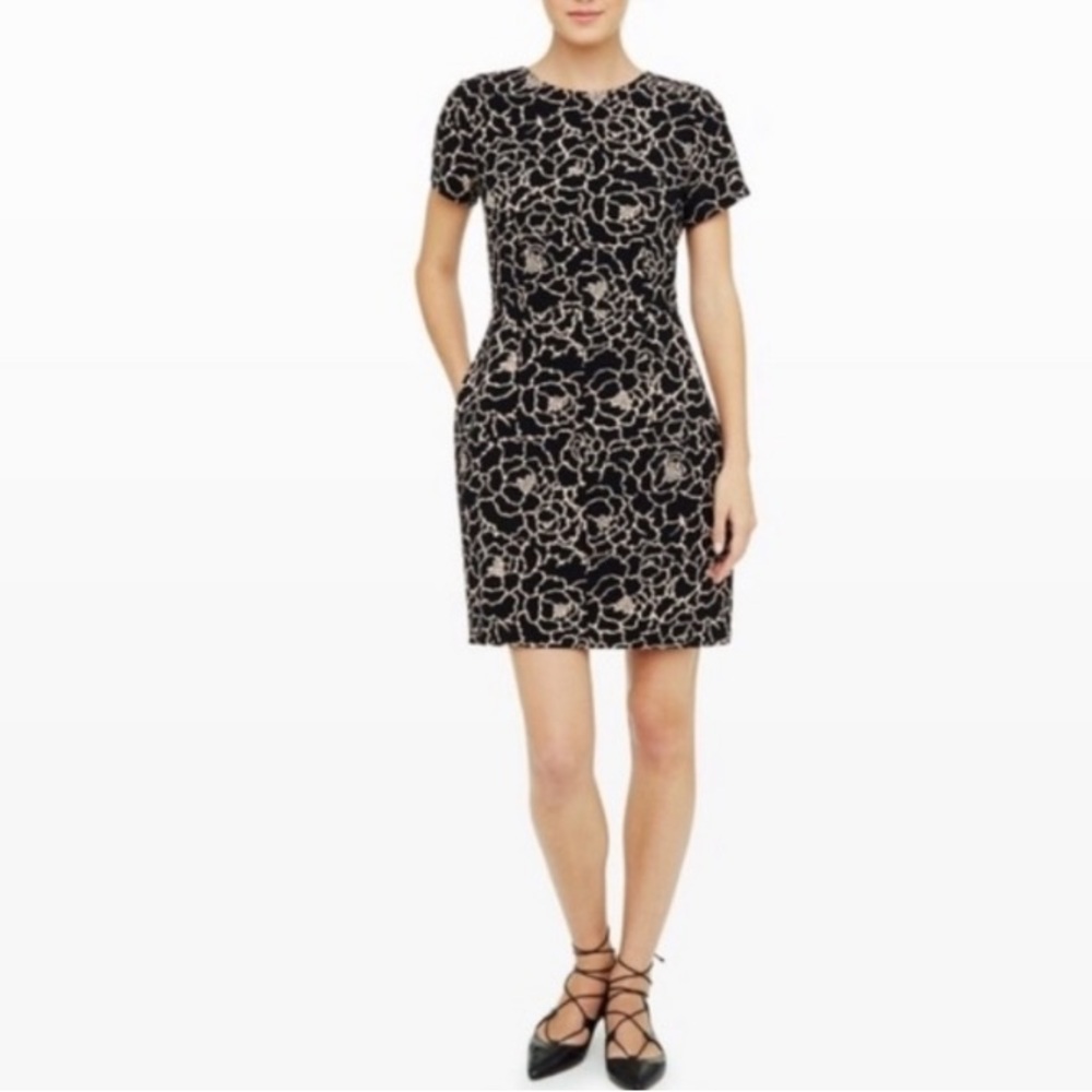 Club Monoco Willa Dress Black And Cream Floral Size 6